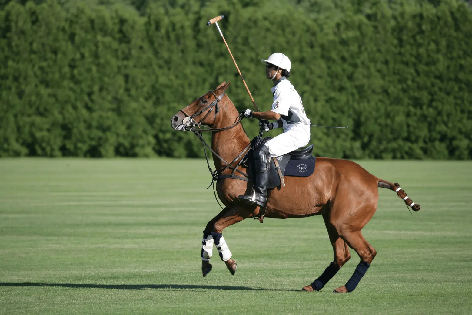 Royal Selangor Golf Club